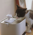 Dockstream 2 Smart Fountain Replacement Filter - PETLIBRO