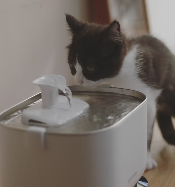 Automatic Pet Water Fountains Petlibro