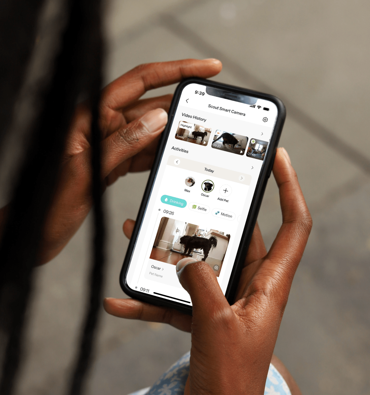 Video cloud AI - PETLIBRO