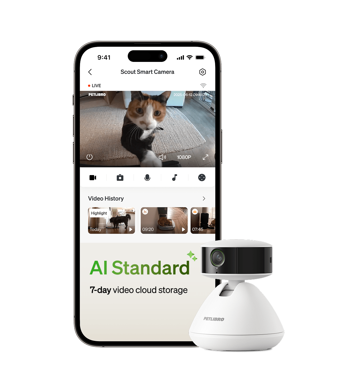 Video cloud AI - PETLIBRO